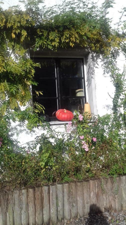 La Colline Des Roses Panzió Conchil-le-Temple Kültér fotó